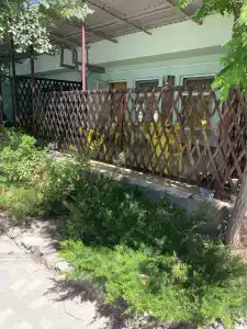 Жемчужный - 64