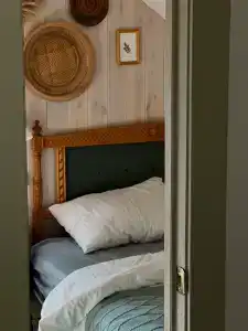 Пенеснарь - 72