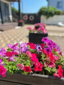 VillaSunriseKerch - 87