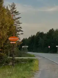 Магия леса - 30