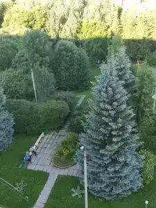 Бодрость - 10