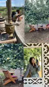 Дом Жар-Птицы - 94