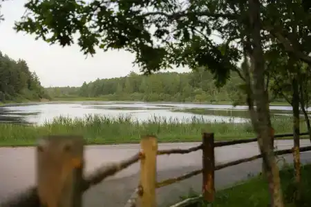 Мятный сад - 39