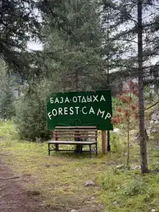 Forest camp - 0