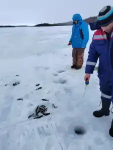 Compass Sosnovaya - 17