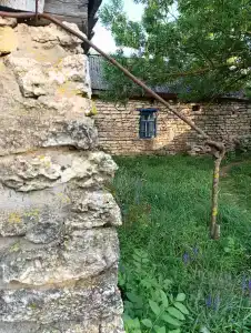 Старая мельница - 36