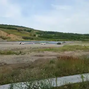 Золотая рыбка - 13