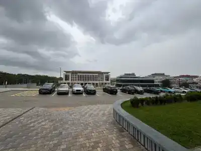 The Basilian Minsk, Curio Collection By Hilton - 80