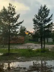 Буренкино Царство - 30