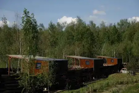 В Поле - 11