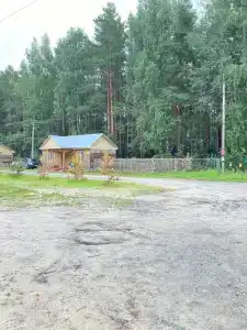 Медведчикова - 31