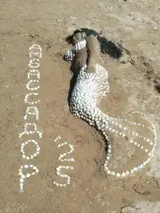 Амбассадор - 9