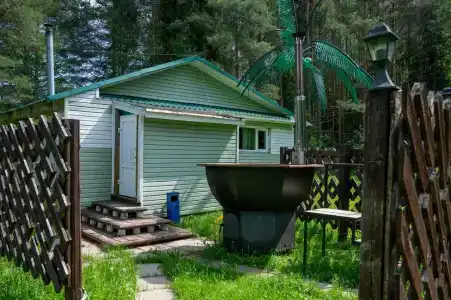 Сосновые шишки - 1