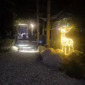 Magic Forest - 17