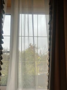 Любимый Суздаль - 68