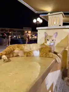 Xperience Kiroseiz AquaPark Premier-Naama Bay - 41