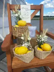 Муза Рузы - 57