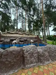 Верасы - 46
