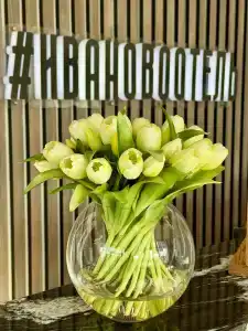 Ивановоотель - 74