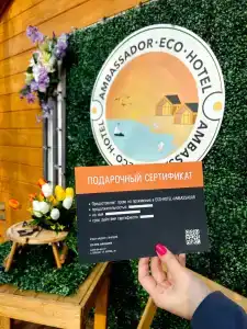 Амбассадор - 29