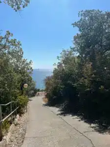 Эколоджия - 97