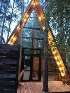 Магия леса - 71