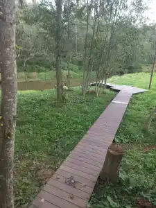 Романов дача - 37