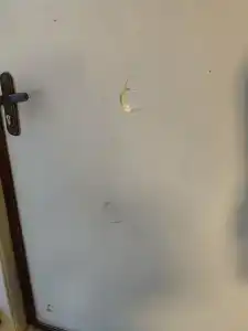 Хуторок - 50