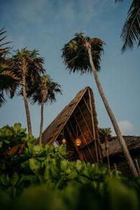 Papaya Playa Project - 43