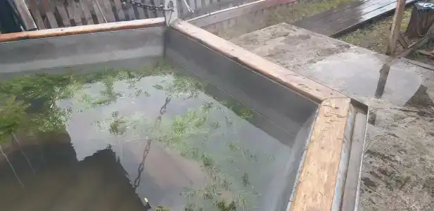 Дикий Урал - 41