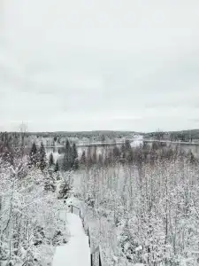 Соромяки - 22