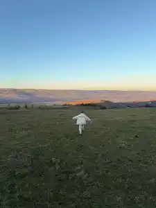 Приют Дара - 40