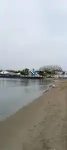 Gold Island - 5