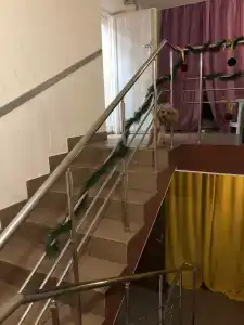 Любимый город - 12