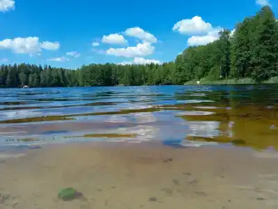 Отрада - 36