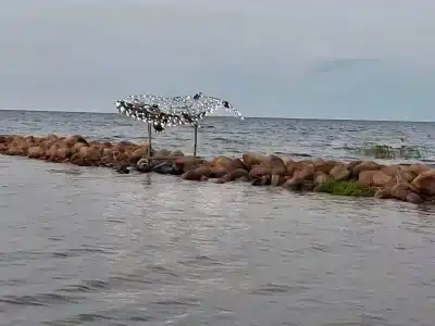 Гавань - 21