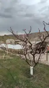 Ускут - 22