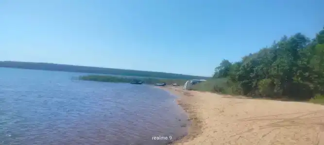 Лотос - 26