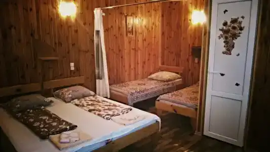 Амадей - 28