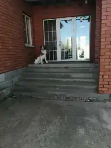 Гостевой дом на Крутой - 43