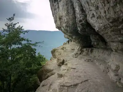 Энергия Дерева - 13