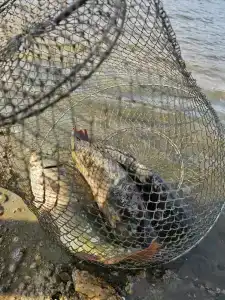 Широкая балка - 19