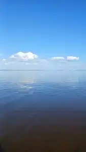 Карельская рябина - 25