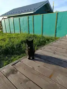 Залив Силы - 38