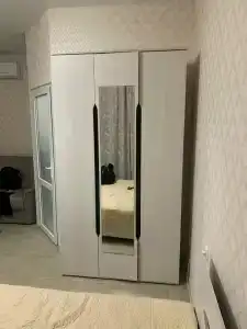 Инжир - 12