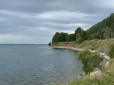 Хвойная - 7