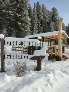 Снежный барс - 46