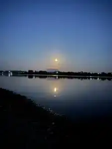 Лейк лайф - 31
