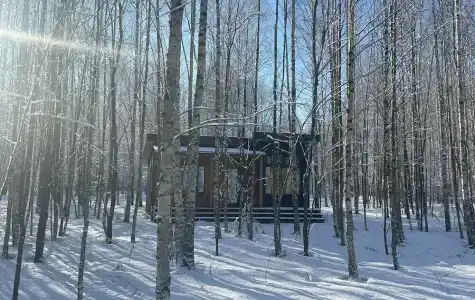 Диоген - 39