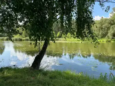 Виктория Олимп отель и бизнес-центр - 76